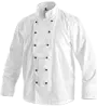 3011948895535449-gastro_01